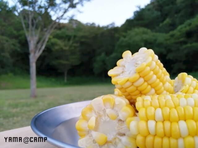 菰沢公園キャンプ