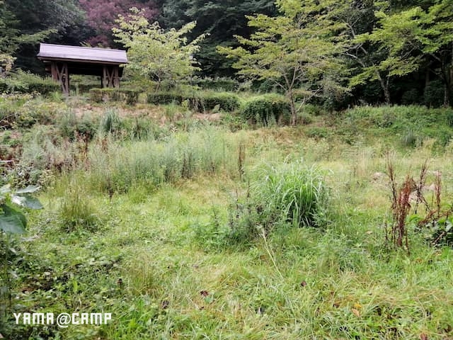 アルカディアビレッジ キャンプ