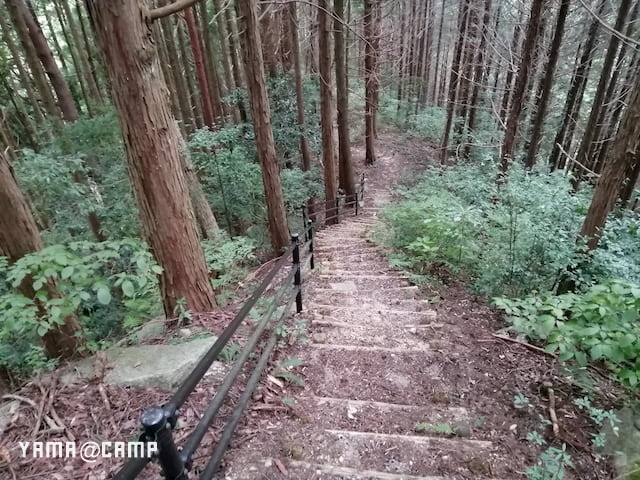 アルカディアビレッジ キャンプ